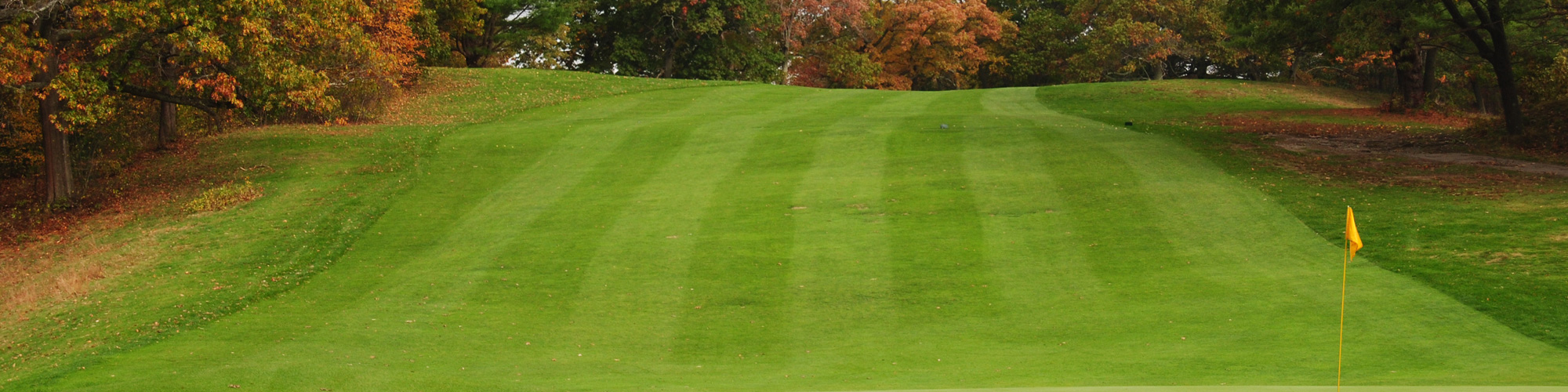 Wide, well-manicured, tree-lined fairway