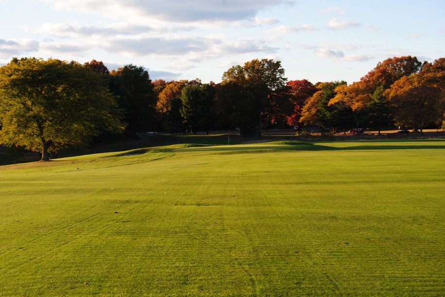 Wide, well-manicured fairway with dense trees bordering beyond.