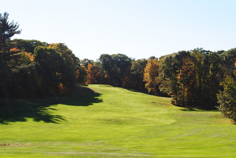 Sun drenched tee box and fairway bordered on all sides by dense woods