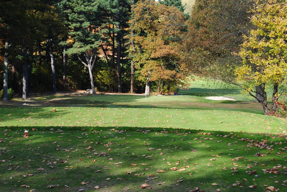 Tee box looking out into a short Par 3 hole with the bordering trees casting large patches of shadows onto the tee box and green.