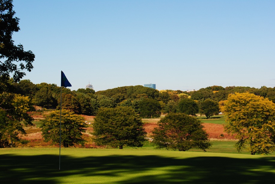 Five tall trees separate the shaded green in the foreground and the rest of the course and wooded area in the background.