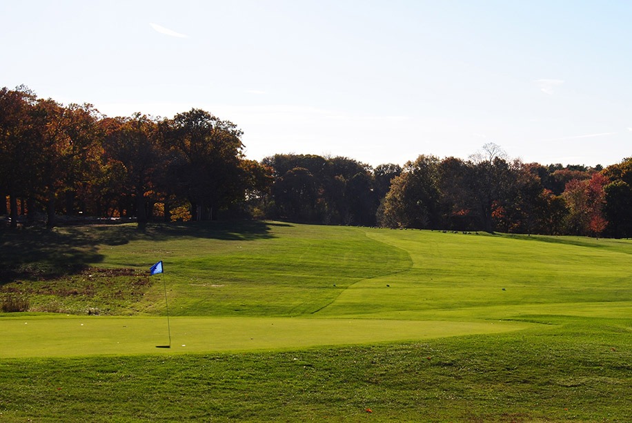 Well manicured green and blue flag pin with tree lined fairway in the background
